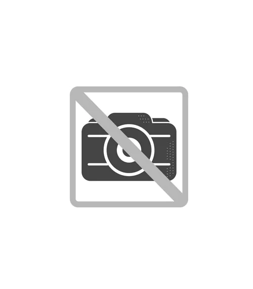 POWDP9056 Nabíječka 20V/40V - 2,0Ah